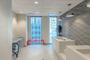 Pet Wash at State & Chestnut Apartments, 60610, IL 